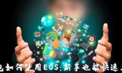 详解TP钱包如何使用EOS：新