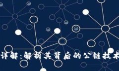 TP钱包详解：解析其背后的公链技术与应用