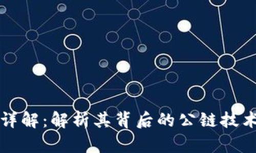 TP钱包详解：解析其背后的公链技术与应用