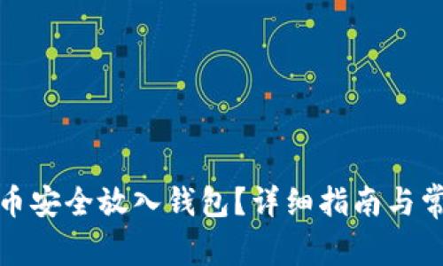 如何将比特币安全放入钱包？详细指南与常见问题解答