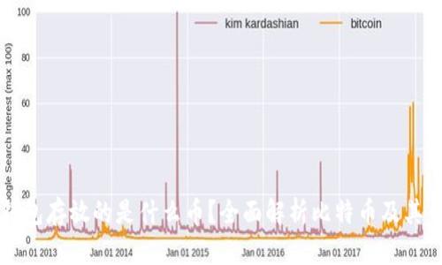 比特币钱包存放的是什么币？全面解析比特币及其钱包功能