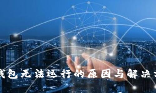 比特币钱包无法运行的原因与解决方案详解