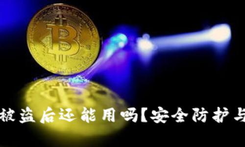 tp钱包上的币被盗后还能用吗？安全防护与解决方案解析