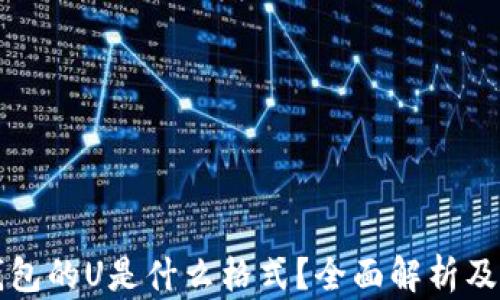 
TP钱包的U是什么格式？全面解析及应用