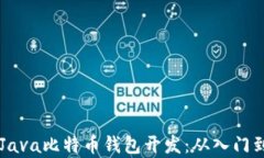 深入解析Java比特币钱包开发：从入门到高级应用