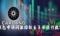 如何在TP钱包中访问波场链主页并进行数字资产管