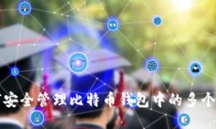如何安全管理比特币钱包中的多个账户