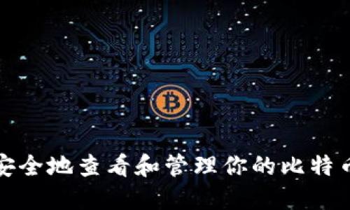如何安全地查看和管理你的比特币钱包