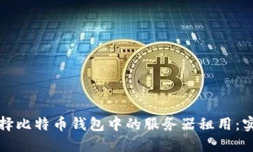 如何选择比特币钱包中的服务器租用：实用指南