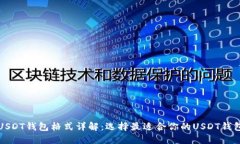 USDT钱包格式详解：选择最适合你的USDT钱包