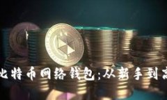 如何安全使用比特币网络钱包：从新手到高手的